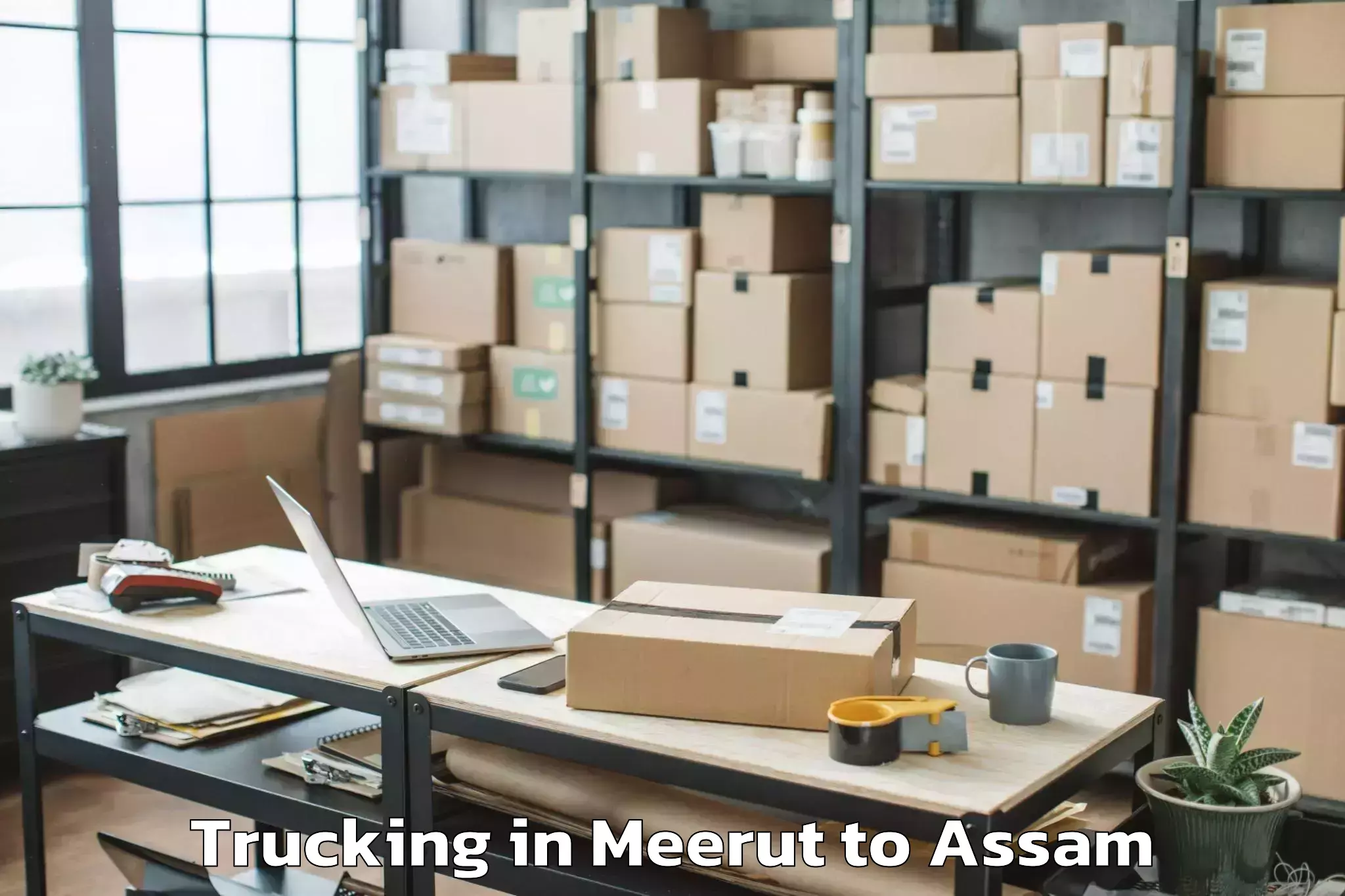 Book Meerut to Gauripur Trucking